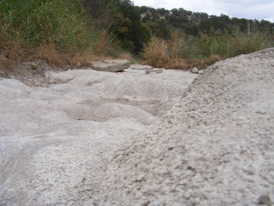 Dinosaur Valley State Park, Glen Rose, Texas