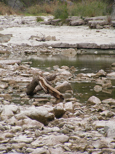 Dinosaur Valley State Park, Glen Rose, Texas