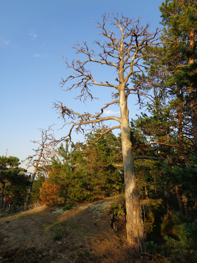 Hanko, Finland