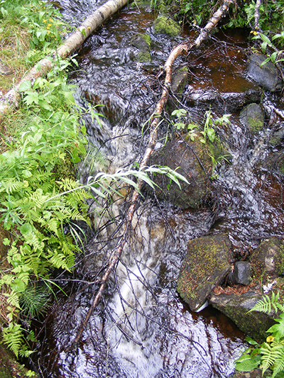 Hepoköngäs, Puolanka, Finland