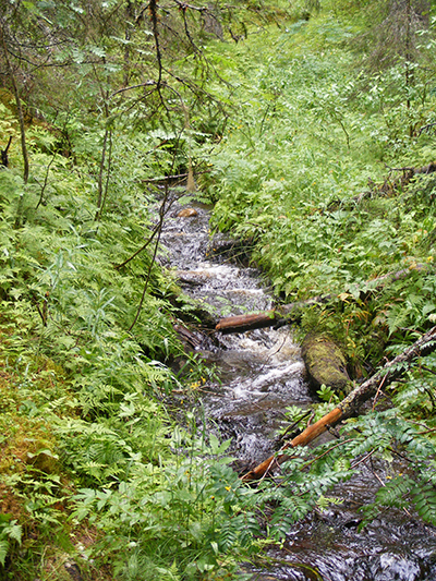 Hepoköngäs, Puolanka, Finland