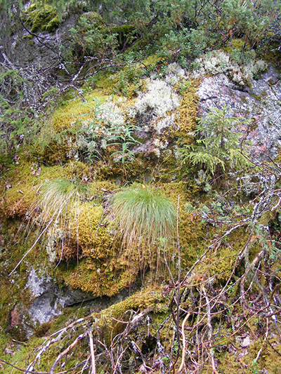 Hepoköngäs, Puolanka, Finland