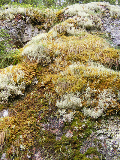 Hepoköngäs, Puolanka, Finland