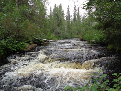 Komulanköngäs, Hyrynsalmi, Finland