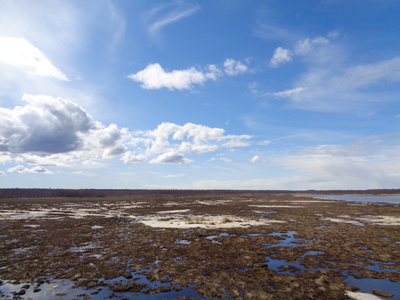 Liminganlahti, Limimka, Finland