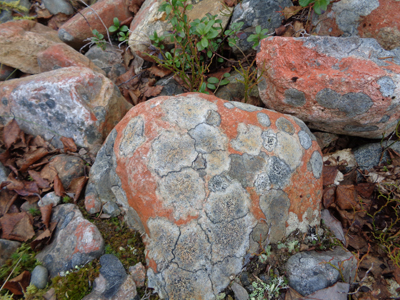 Luostotunturi, Luosto, Finland