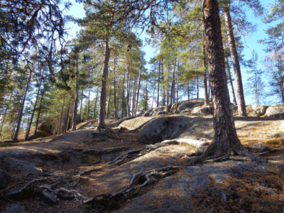 Hiidenkirnut, Rovaniemi, Finland