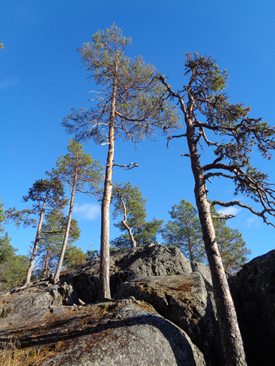 Hiidenkirnut, Rovaniemi, Finland