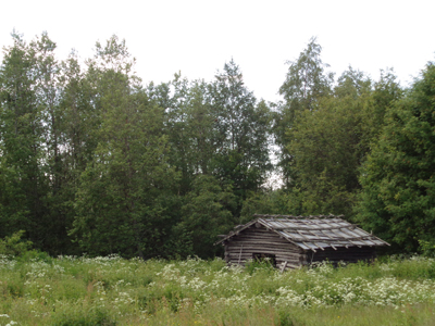 Old Barns 03