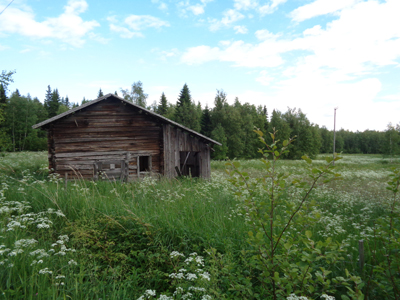 Old Barns 04