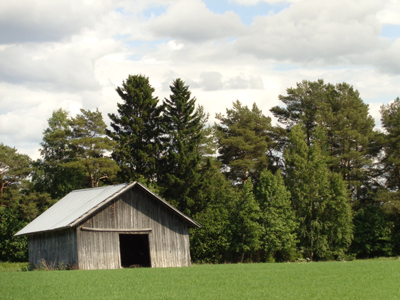 Old Barns 06