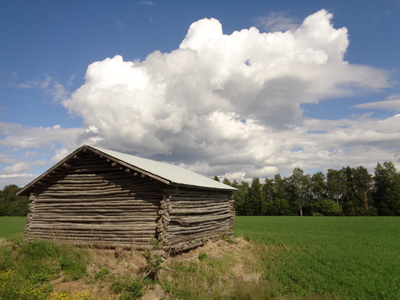 Old Barns 07