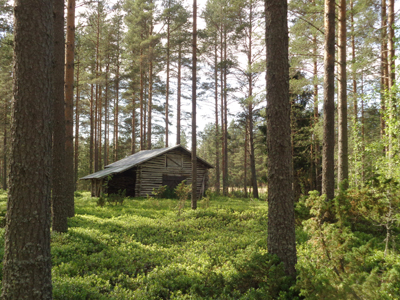 Old Barns 09