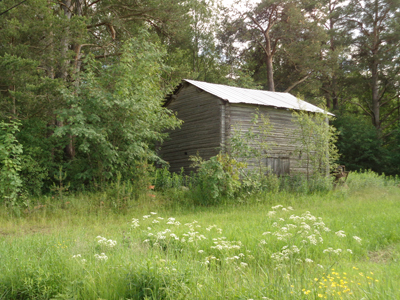 Old Barns 12