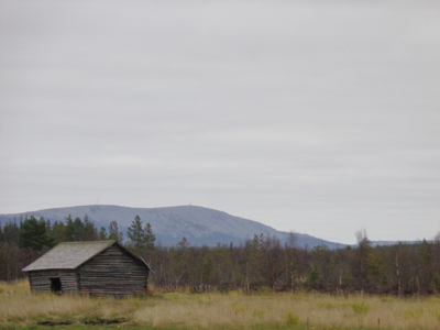 Old Barns 16